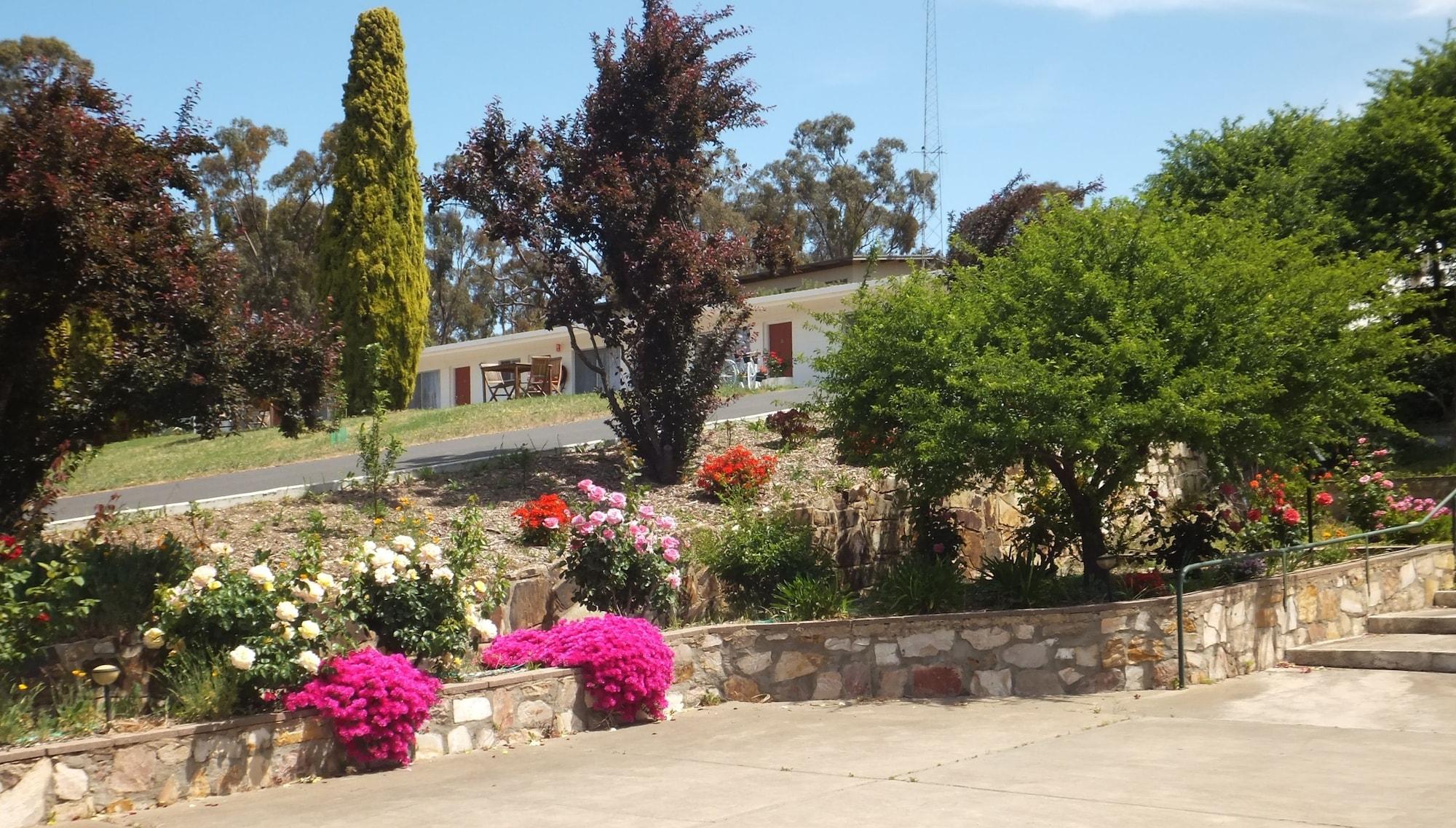 Clare Valley Motel Bagian luar foto