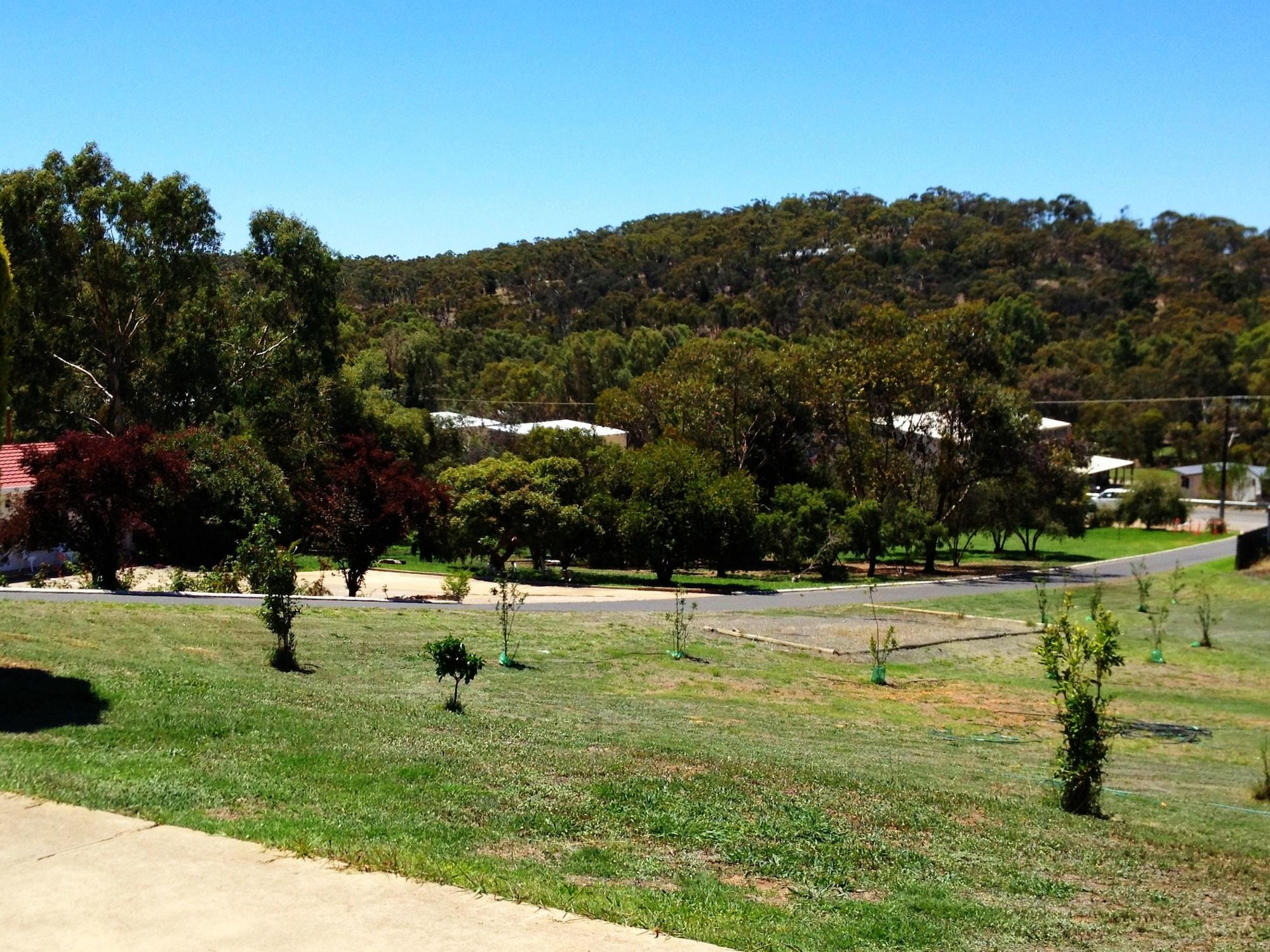 Clare Valley Motel Bagian luar foto