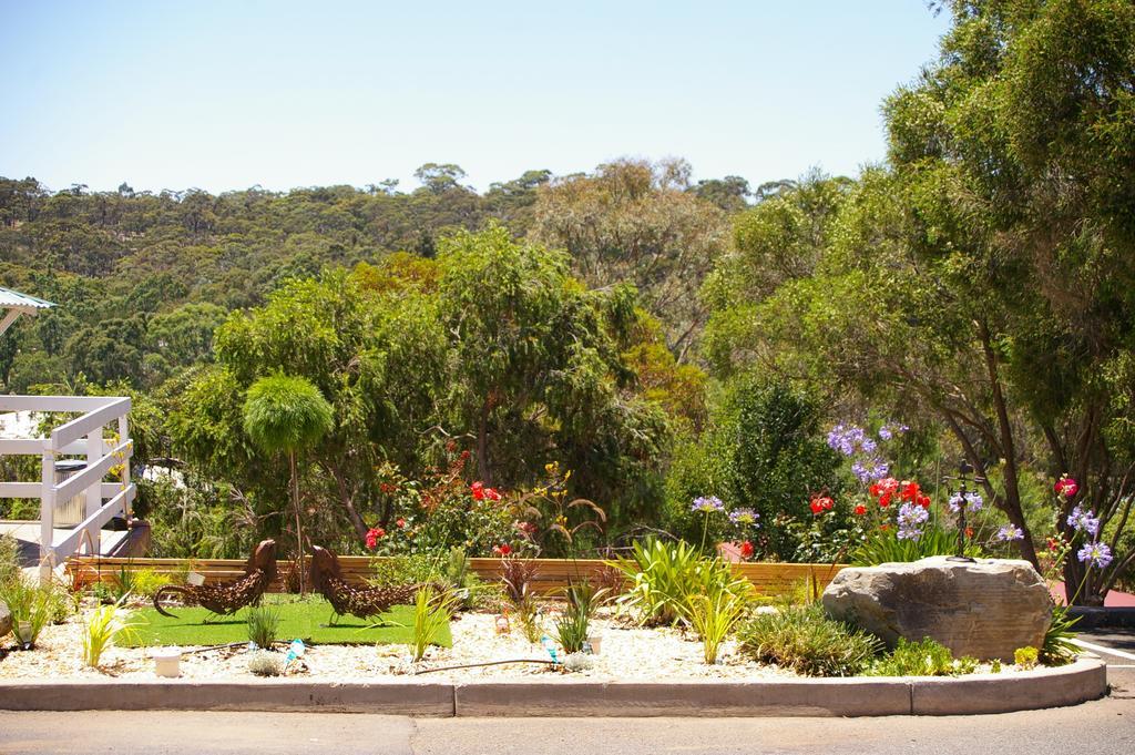 Clare Valley Motel Bagian luar foto