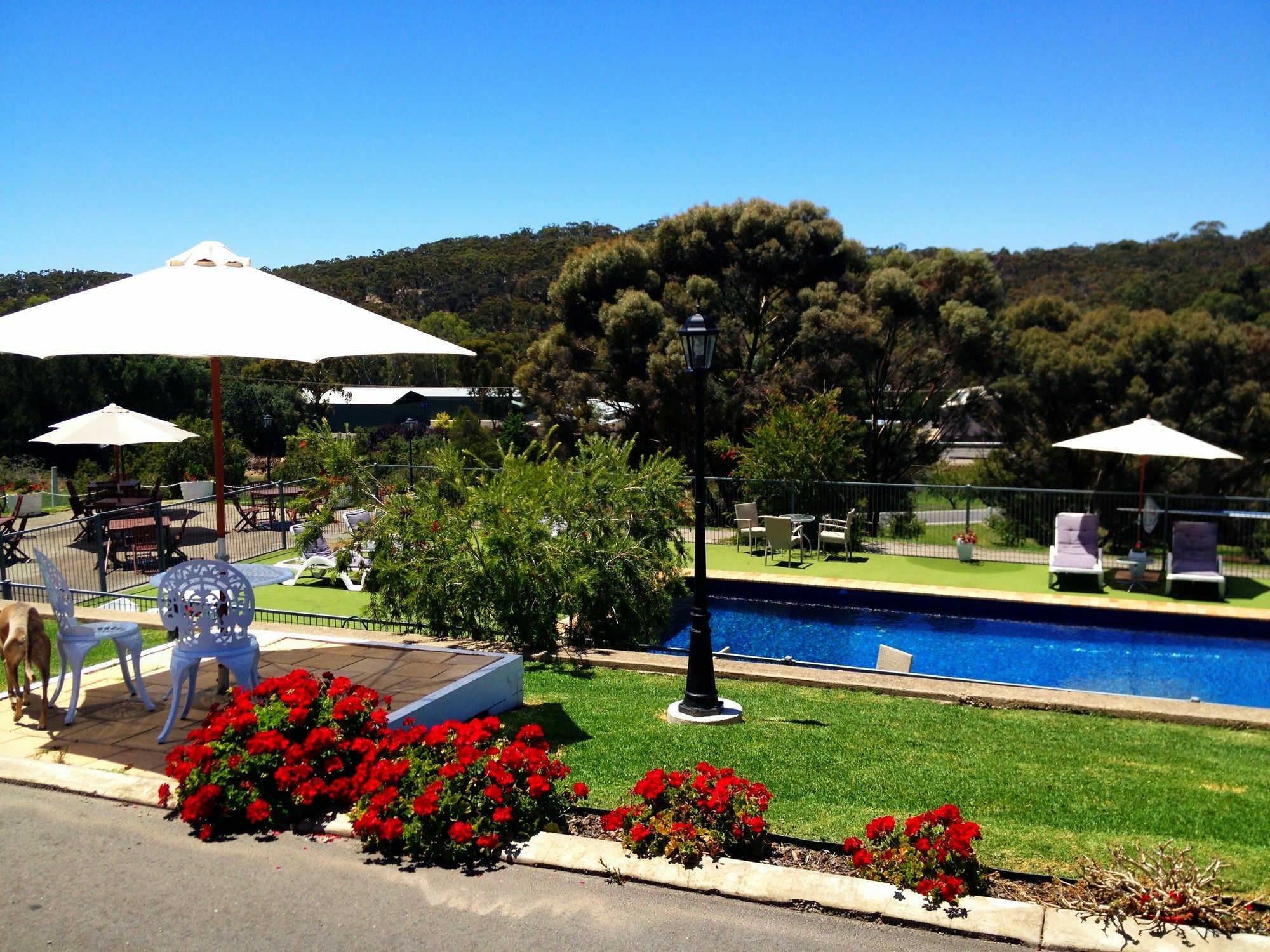 Clare Valley Motel Bagian luar foto