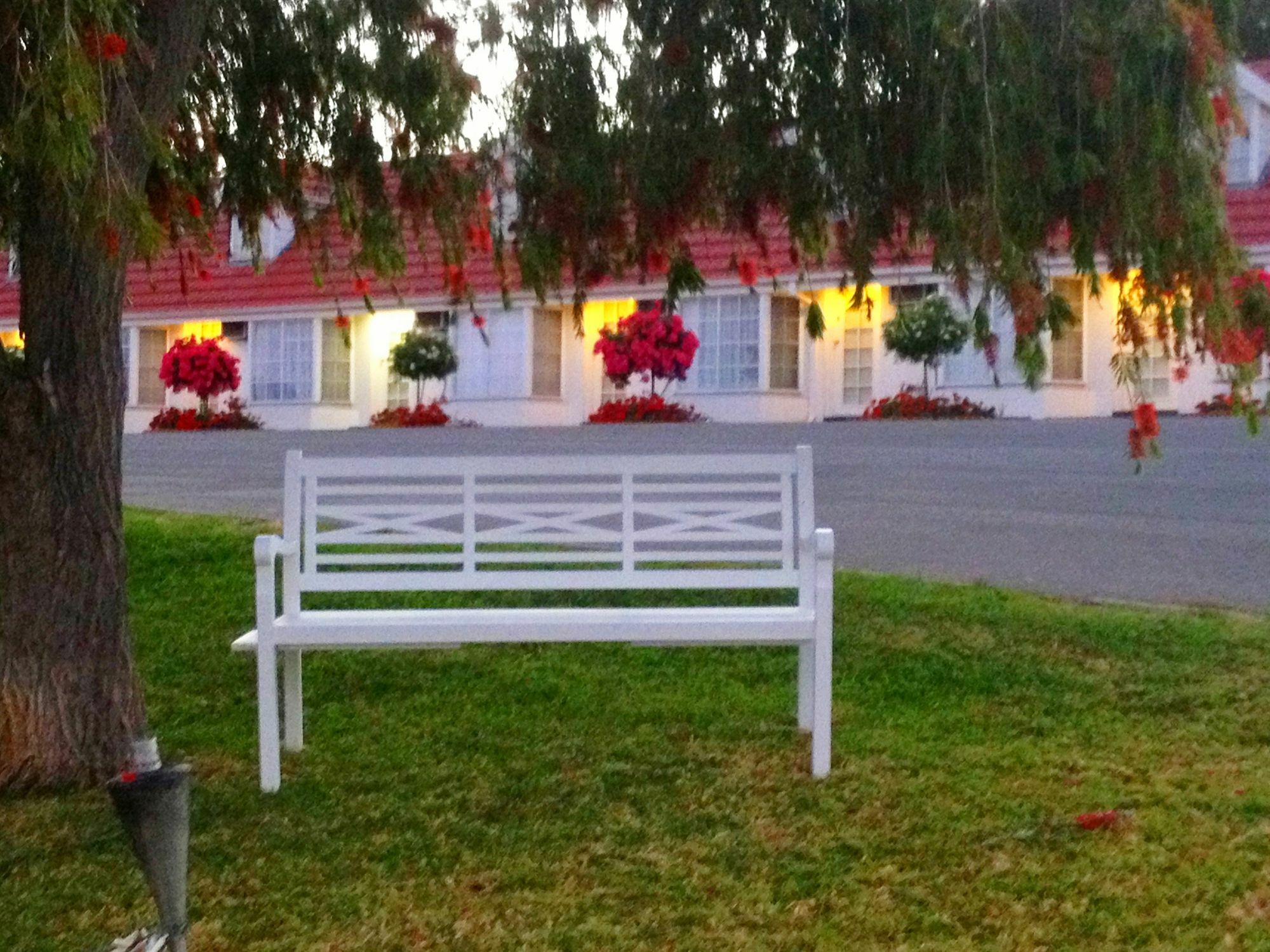 Clare Valley Motel Bagian luar foto